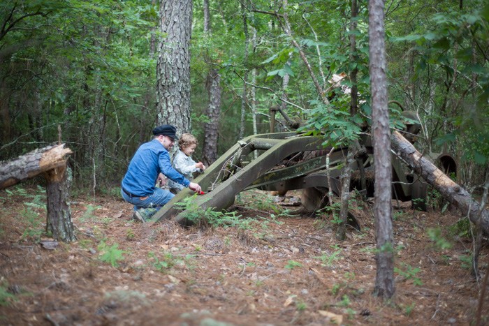 Joel Tauber Sharing Projects and forests