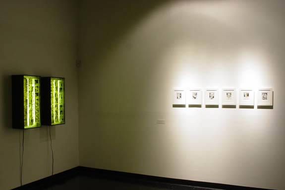 Six framed drawings and two light installations.