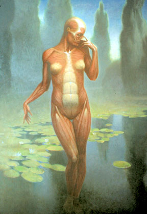 human figure without skin, standing in a pond posed, Peter Zokosky