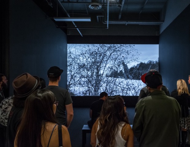 Audience enjoys Los Carpinteros video Polaris