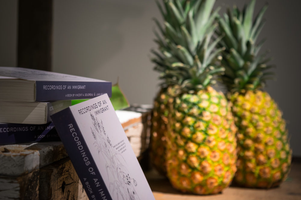 In the foreground, a stack of books is prominently displayed. The top book is titled "Recordings of an Immigrant: A Book by Vincent A. Doudré." The other books are partially visible, but the titles are not clear. Behind the books, two large, ripe pineapples are placed on a wooden surface. The pineapples are a vibrant yellow color with green tops.