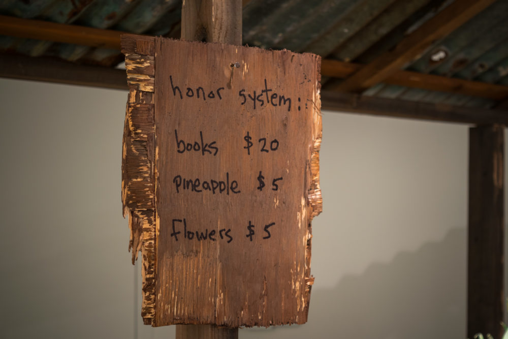 The sign is attached to a metal pole and has a rustic, aged appearance with visible cracks and peeling paint. The text on the sign is handwritten in black marker and states: "honor system:" "books $20" "pineapple $5" "flowers $5"