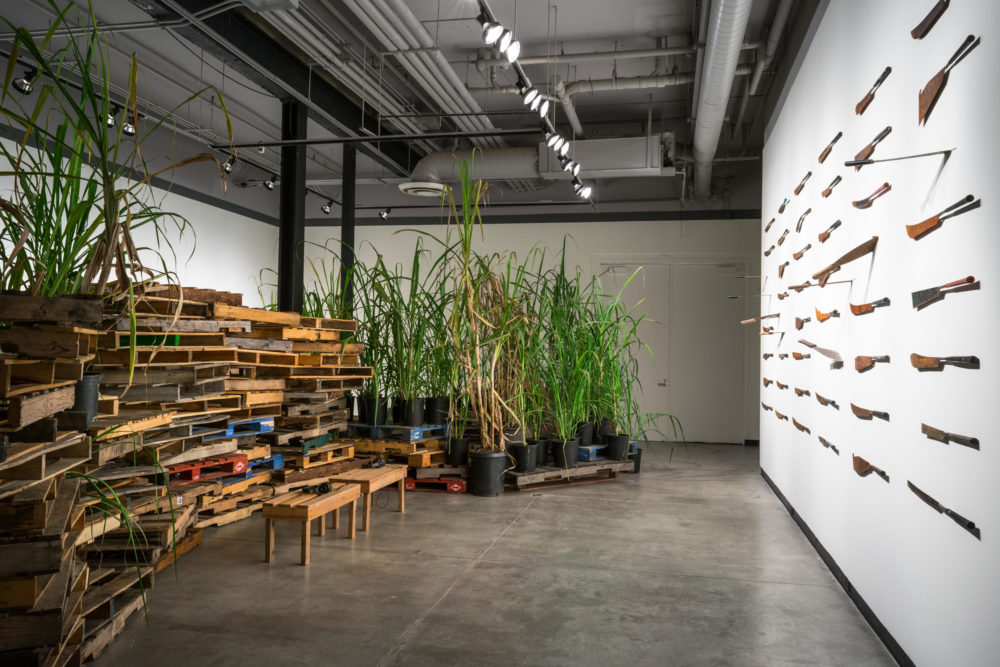 On the left side of the gallery, a collection of tall, green plants are arranged on wooden pallets. On the right side of the gallery, a series of bladed weapons are mounted on the wall in a grid pattern.