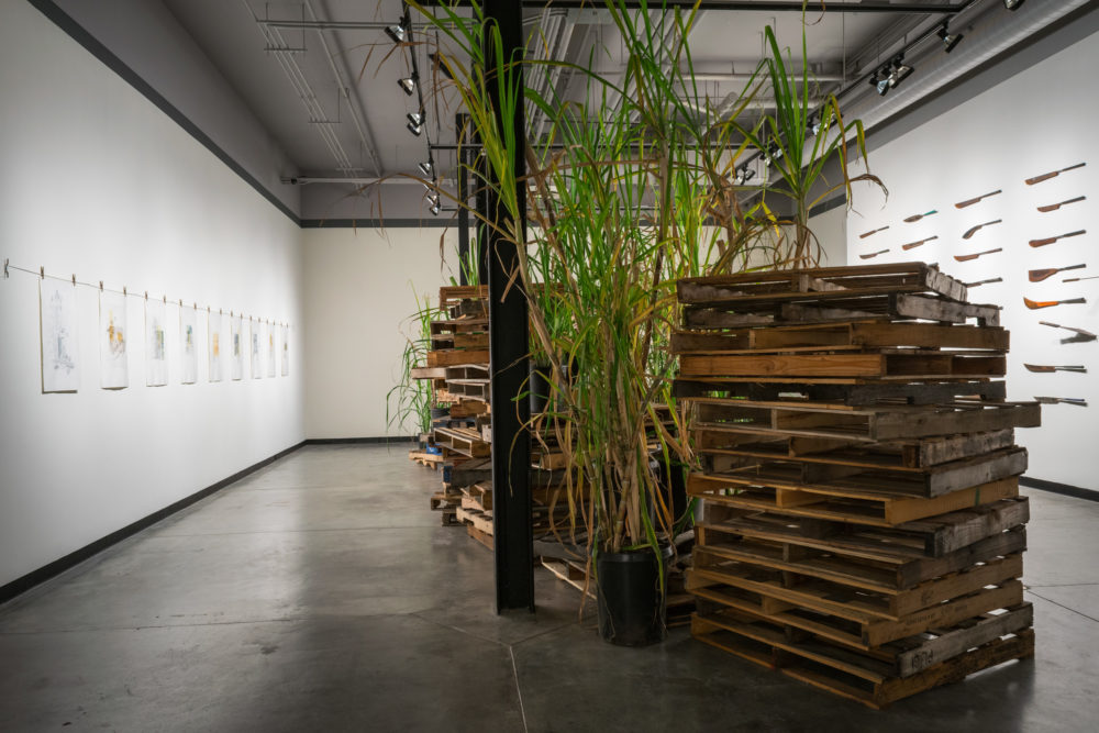 On the left side of the gallery, a series of framed artworks are hung on the wall. The artworks appear to be drawings or paintings, depicting various subjects in muted tones. On the right side of the gallery, a cluster of tall, green plants are arranged on a stack of wooden pallets.