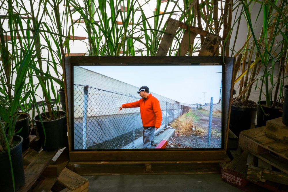 Plants in the background with a screen in the middle of a man in orange standing near a wired fence.