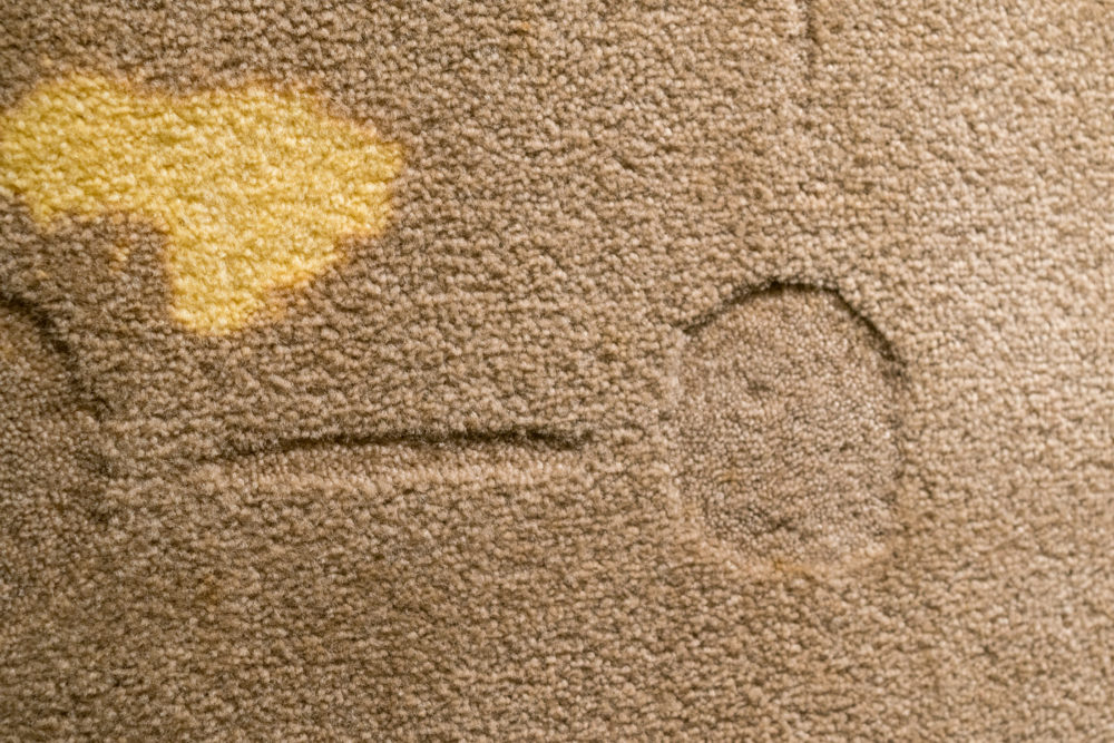 This image shows a close-up of a piece of brown fabric or carpet. The fabric features various marks and a yellow stain.