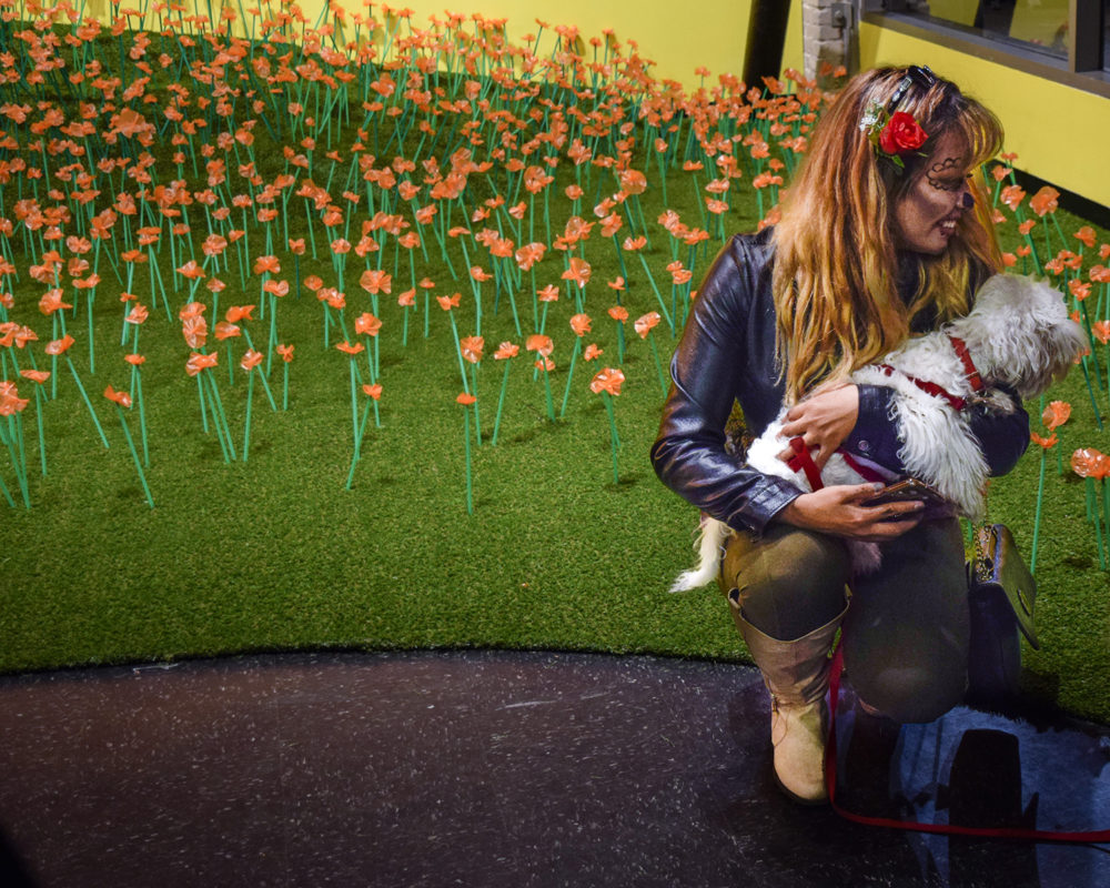 WOMAN AND HER DOG INFRONT OF SUPERBLOOM EXHIBITION