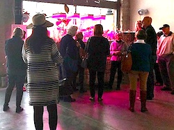 A group of people viewing Michael Nannery's installation