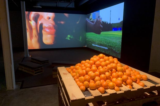 two screens of video in background, one on left includes close up image of a face and the image on the right includes a landscape with green grassy field and blue sky.  In foreground are palettes with a stack of oranges on top.