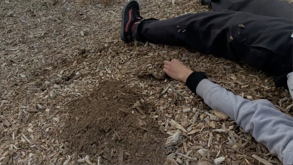 an arm and a leg of an individual laying on dirt