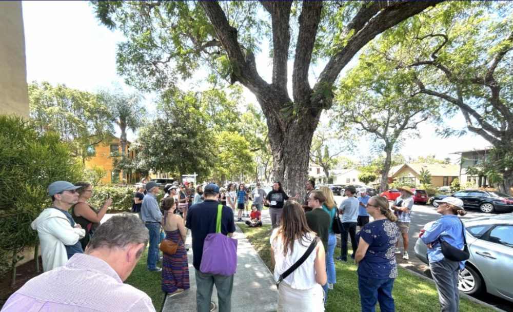Individuals stand in a circle around a large tree.